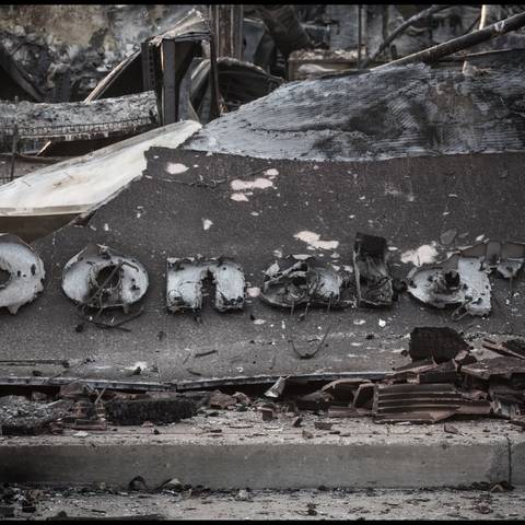 /“Destruction” Credit Penny Wolin