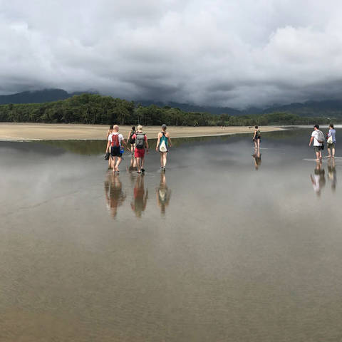 /students walking through water