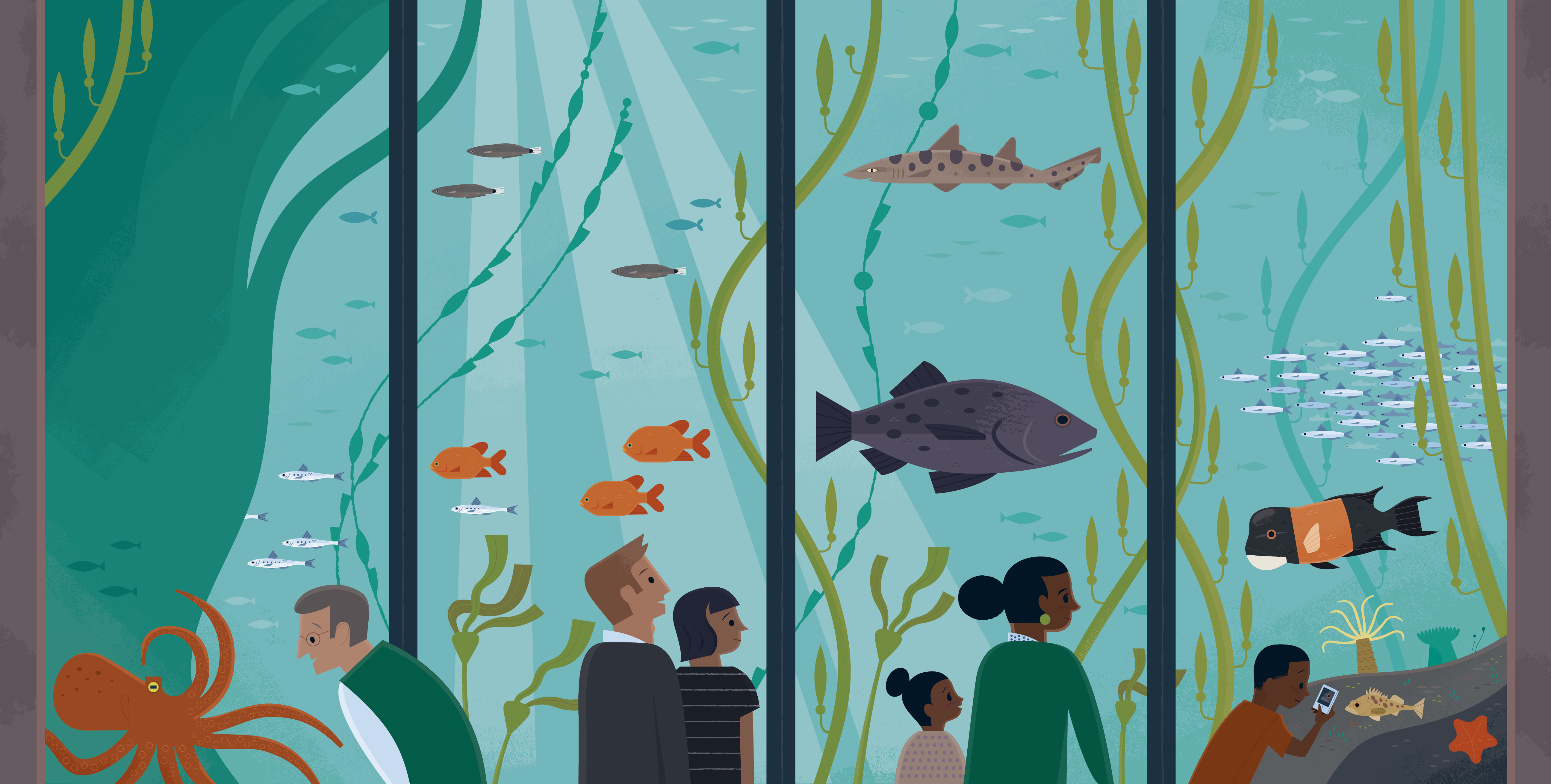 Alexander Vidal - Monterey Bay Aquarium illustration
