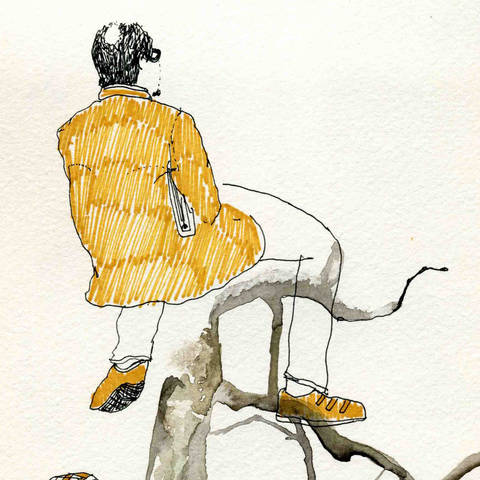 /Drawings by Sarah Williamson