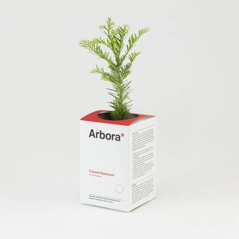 /Arbora by Jisu Kim (via Dieline)