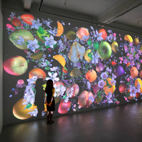 /Jennifer Steinkamp, Still-Life Installation view, Lehmann Maupin, Hong Kong, September 19 – October 26, 2019. Image courtesy Lehmann Maupin, Hong Kong. (via cobosocial.com)