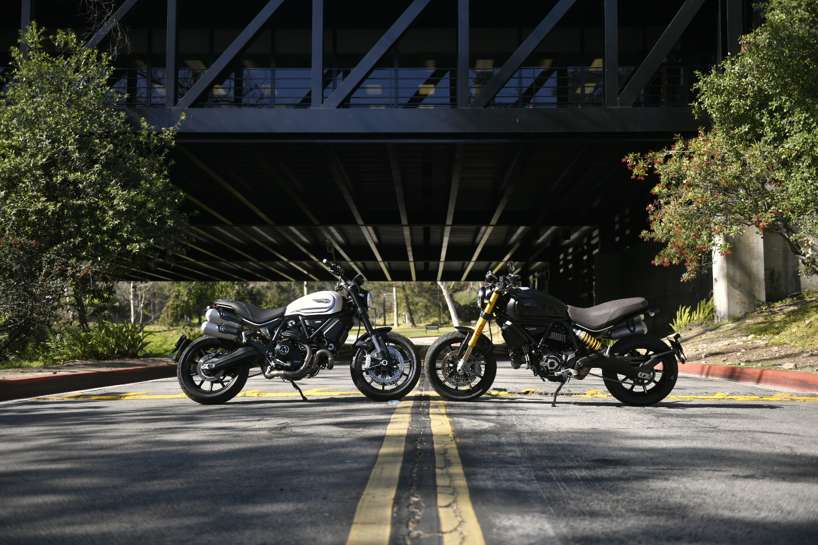 Photo of two Ducati Scrambler 1100 motorcycles. 