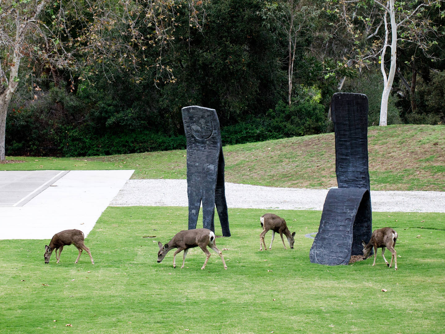 %3Cp%3EFrom+wooded+acres+in+the+San+Rafael+Hills+to+adaptive+reuse+in+downtown+Pasadena%2C+ArtCenter%E2%80%99s+two+campuses+provide+future+artists+and+designers+with+a+wide+array+of+creative+learning+opportunities+enriched+by+the+creative+and+academic+resources+within+the+surrounding+communities+and+the+greater+Los+Angeles+area.+%3C%2Fp%3E+%3Cp%3E%3Cstrong%3ELearn+more+about+%3Ca+href%3D%22%2Fabout%2Fcampus%2Foverview.html%22%3EArtCenter%27s+campuses%3C%2Fa%3E.%3C%2Fstrong%3E+%3C%2Fp%3E