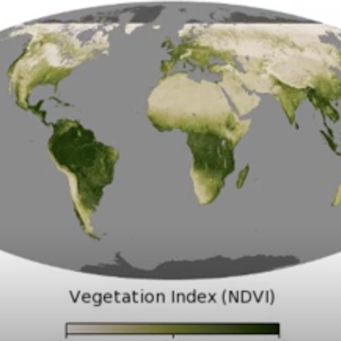 Earth from Space Vegetation video still
