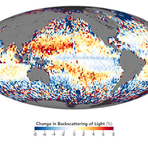 Every+night+throughout+the+oceans%2C+under+the+cover+of+darkness%2C+countless+small+sea+creatures+swim+from+the+ocean+depths+to+feed+near+the+surface%2C+then+descend+out+of+sight+again+before+daybreak.+This+vast+animal+migration%E2%80%94a+critical+part+of+Earth%E2%80%99s+carbon+cycle%E2%80%94has+been+observed+for+the+first+time+on+a+global+scale.+Sea+creatures%E2%80%94including+copepods%2C+squid%2C+and+krill%E2%80%94swim+up+at+night+to+feed+on+phytoplankton.+The+principal+reason+for+this+migration+is+for+some+marine+creatures+to+avoid+detection+by+predators+that+would+consume+them+near+the+surface+in+daylight.+December+4%2C+2019.