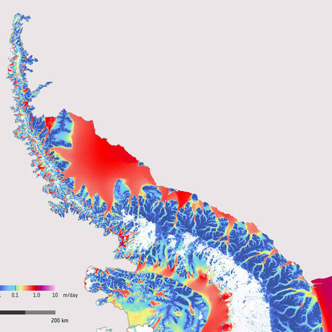 Successive+radar+images+made+between+December+2014+and+March+2016+were+used+to+create+this+spectacular+map+showing+how+fast+the+ice+flows+on+the+Antarctic+Peninsula.+The+peninsula+is+a+narrow%2C+mountainous+finger+of+land+and+is+the+northernmost+arm+of+the+Antarctic+ice+sheet.+The+colors+indicate+the+speed+of+ice+movement+in+meters+per+day%2C+ranging+from+1+centimeter+%283%2F8+inch%29+per+day+or+less+in+dark+blue+to+up+to+1+meter+%283.25+feet%29+per+day+in+red.+This+region+has+been+experiencing+rapid+climate+warming+over+recent+decades.+May+2016.+