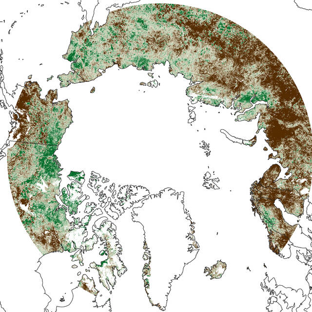 In+parts+of+the+Arctic+tundra%2C+temperatures+are+increasing+rapidly+as+a+result+of+climate+change.+This+has+resulted+in+complex+changes+in+plant+communities%2C+with+satellite+data+showing+that+some+parts+of+the+Arctic+are+%E2%80%9Cgreening%E2%80%9D+while+other+areas+are+said+to+be+%E2%80%9Cbrowning.%E2%80%9D+Scientists+are+looking+at+components+such+as+rock+or+soil+types+to+understand+changes+in+plant+productivity+in+the+Arctic%2C+beyond+just+temperature.+The+image+shows+changes+in+mean+maximum+gross+primary+productivity+across+five+years+between+2001+and+2005+and+2011+and+2015.