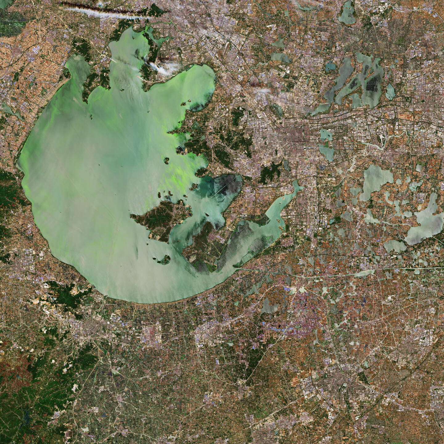 Lake+Tai+is+the+third-largest+freshwater+lake+in+China.+It+is+located+north+of+Shanghai+in+Jiangsu+Province+and+is+approximately+70+kilometers+%2844+miles%29+long+and+60+kilometers+%2837+miles%29+wide%2C+with+an+average+depth+of+about+2+meters+%286.5+feet%29.+The+Tai+Basin+is+a+very+developed+region+in+China+and+includes+the+megacity+Suzhou%2C+visible+east+of+the+lake.+Rapid+urbanization%2C+population+growth%2C+and+excessive+fish+farming+have+resulted+in+a+large+increase+of+nutrients+in+the+lake.+This+deteriorates+the+water+quality%2C+causing+toxic+algae+blooms+and+threatening+the+safety+of+the+millions+of+people+who+depend+on+the+lake+as+a+source+of+drinking+water.+May+24%2C+2019.