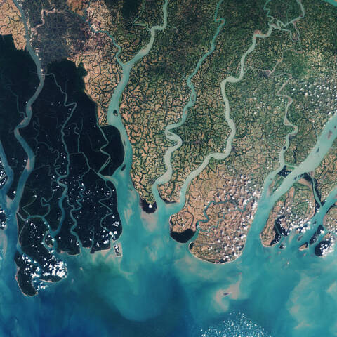 The+Sundarbans+is+a+region+comprising+southern+Bangladesh+and+a+small+part+of+the+Indian+state+of+West+Bengal.+The+area+is+10%2C000+square+kilometers+%283%2C850+square+miles%29+of+mangrove+and+swamp+forests.+The+Sundarbans+appears+in+dark+shades+of+green%2C+while+the+adjacent+areas+in+brighter+colors+are+densely+populated+and+dominated+by+agriculture.+This+area+lies+on+the+Bay+of+Bengal%2C+the+world%E2%80%99s+largest+bay.+A+number+of+large+rivers%2C+including+the+Ganges%2C+flow+into+its+waters.+The+Sundarbans+National+Park%2C+established+in+1984+and+designated+a+UNESCO+World+Heritage+site%2C+is+a+core+region+within+the+Bengal+Tiger+Reserve.+The+Bengal+tigers+are+almost+extinct.+March+18%2C+2016.