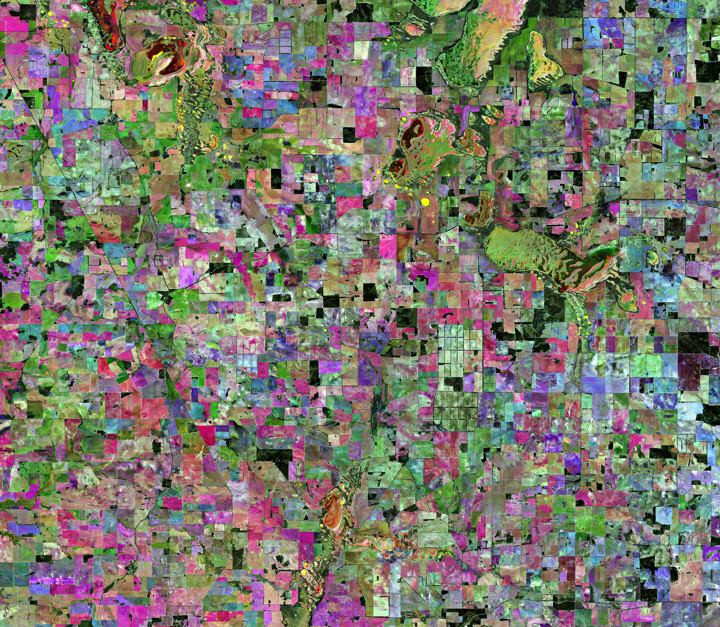 The+Wheatbelt+region+of+western+Australia+is+an+inland+agricultural+area.+Wheat+was+the+main+agricultural+product+in+Australia%E2%80%99s+early+history.+Wheatbelt+areas+are+usually+arid%2C+making+agriculture+largely+reliant+on+rainfall+and+irrigation.+Covering+an+area+of+around+160%2C000+square+kilometers+%2862%2C000+square+miles%29%2C+the+region+has+an+estimated+population+of+only+around+seventy-five+thousand+residents.+Western+Australia%E2%80%99s+climate+has+changed+over+recent+decades%2C+with+significant+reductions+in+rainfall+during+the+growing+season.+The+photograph+combines+three+separate+near-infrared+images%E2%80%94one+in+red%2C+one+in+green%2C+and+one+in+blue.+They+vary+because+of+the+stage+of+the+growth+of+crops.+May+2019%E2%80%93January+2020.
