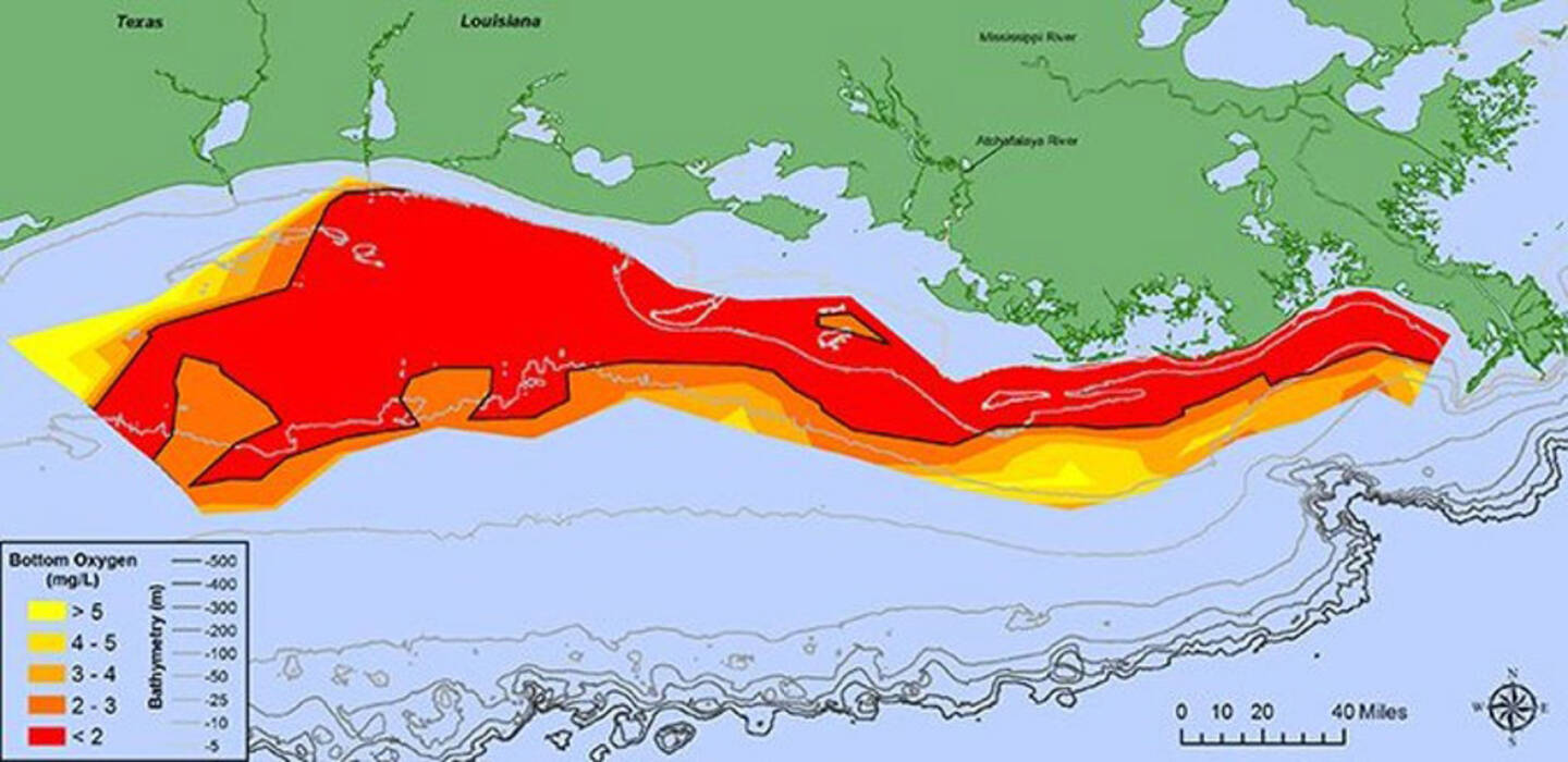 The+area+near+the+mouth+of+the+Mississippi+River+becomes+a+%E2%80%9Cdead+zone%E2%80%9D+when+phytoplankton+die+as+the+result+of+pollution+and+strip+the+water+of+oxygen.+An+area+of+low+to+no+oxygen+can+kill+fish+and+other+marine+life.+U.S.+National+Oceanic+and+Atmospheric+Administration+scientists+forecast+the+Gulf+of+Mexico+%E2%80%9Cdead+zone%E2%80%9D+in+summer+2019+to+be+approximately+20%2C277+square+kilometers+%287%2C829+square+miles%29%2C+or+roughly+the+size+of+the+landmass+of+Massachusetts.+The+annual+prediction+is+based+on+U.S.+Geological+Survey+river+flow+and+nutrient+data.+June+12%2C+2019.