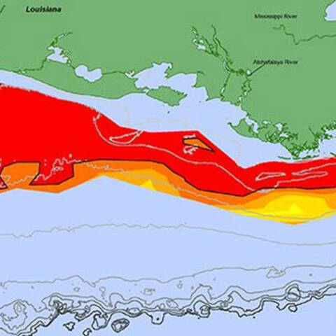 The+area+near+the+mouth+of+the+Mississippi+River+becomes+a+%E2%80%9Cdead+zone%E2%80%9D+when+phytoplankton+die+as+the+result+of+pollution+and+strip+the+water+of+oxygen.+An+area+of+low+to+no+oxygen+can+kill+fish+and+other+marine+life.+U.S.+National+Oceanic+and+Atmospheric+Administration+scientists+forecast+the+Gulf+of+Mexico+%E2%80%9Cdead+zone%E2%80%9D+in+summer+2019+to+be+approximately+20%2C277+square+kilometers+%287%2C829+square+miles%29%2C+or+roughly+the+size+of+the+landmass+of+Massachusetts.+The+annual+prediction+is+based+on+U.S.+Geological+Survey+river+flow+and+nutrient+data.+June+12%2C+2019.