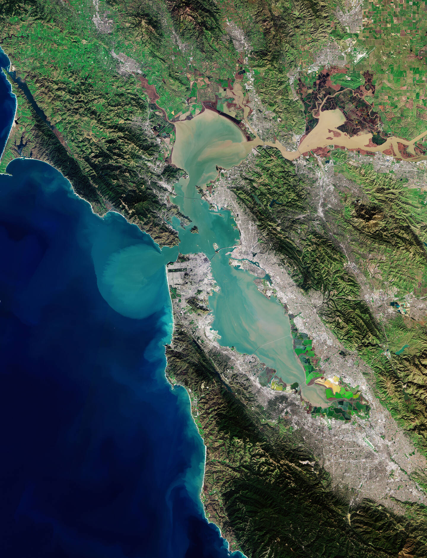 San+Francisco+Bay%2C+almost+100+kilometers+%2860+miles%29+long%2C+is+surrounded+by+the+San+Francisco+Bay+Area%2C+the+extensive+metropolitan+region+dominated+by+large+cities+such+as+San+Francisco%2C+Oakland%2C+and+San+Jose.+In+the+upper+right+the+delta+of+the+Sacramento+and+San+Joaquin+Rivers+is+visible%2C+with+the+brown%2C+sediment-filled+water+eventually+flowing+down+into+the+Pacific+Ocean+via+the+Golden+Gate+Strait.+A+large+sediment+plume+can+be+seen+traveling+westward+into+the+ocean+on+the+left.+Near+the+lower+center+you+can+see+the+black+line+that+marks+the+San+Andreas+fault%2C+which+produced+powerful+earthquakes+in+San+Francisco+in+1906+and+1989.+January+25%2C+2019.