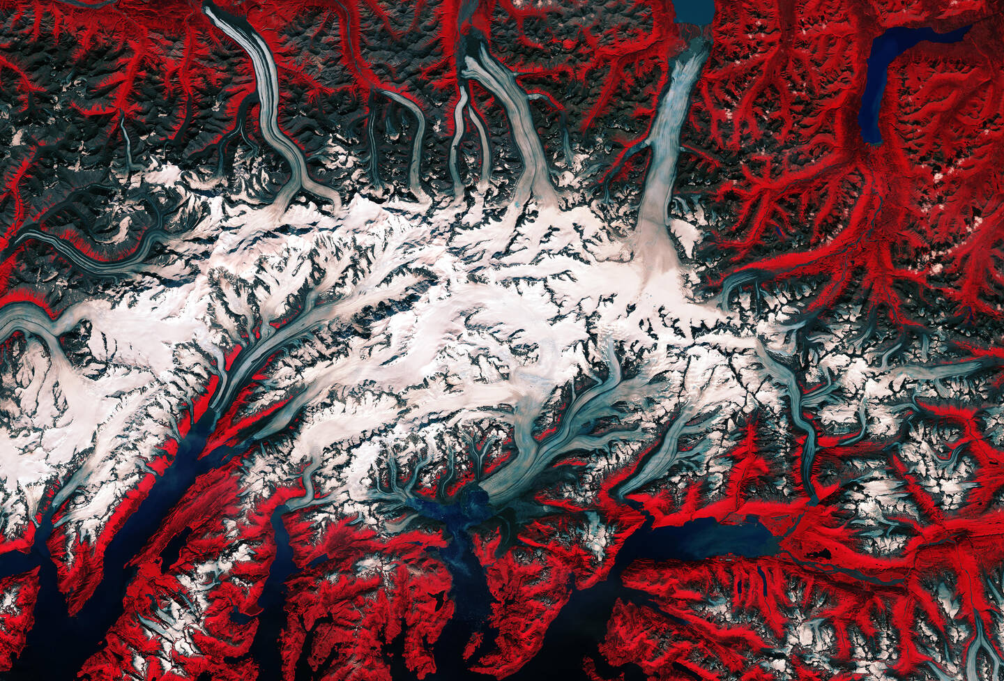 Alaska%E2%80%99s+southeast+Columbia+Glacier%2C+just+below+the+middle+of+the+image%2C+flows+down+the+snow-covered+slopes+of+the+Chugach+Mountains+into+the+Prince+William+Sound.+Over+the+last+three+decades+this+tidewater+glacier+has+retreated+more+than+20+kilometers+%2812.5+miles%29+and+lost+about+half+of+its+total+thickness+and+volume.+The+changing+climate+is+thought+to+have+nudged+it+into+retreat+beginning+around+1980%2C+when+its+tip+broke+free.+The+Columbia+is+one+of+the+most+rapidly+changing+glaciers+in+the+world.+August+5%2C+2017.