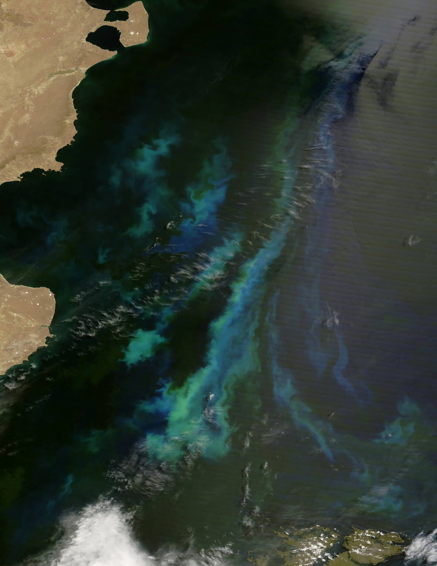 Iridescent+colors+decorate+the+South+Atlantic+Ocean+off+the+coast+of+Argentina.+Though+hundreds+of+kilometers+in+length%2C+these+bright+bands+of+color+were+formed+by+miniscule+objects%E2%80%94tiny+surface-dwelling+ocean+plants+known+as+phytoplankton.+They+thrive+in+the+ocean+off+the+Argentine+coast%2C+thanks+to+the+waters%E2%80%99+cool+temperature+and+richness+in+nutrients.+In+this+area+the+Malvinas+Current+%28or+Falkland+Current%29+sweeps+northward+along+the+continental+shelf%2C+bringing+with+it+cold+water+from+the+Southern+Ocean.+The+action+of+the+current+pulls+up+from+the+ocean+floor+nutrients+that+promote+phytoplankton+growth.+December+24%2C+2007.