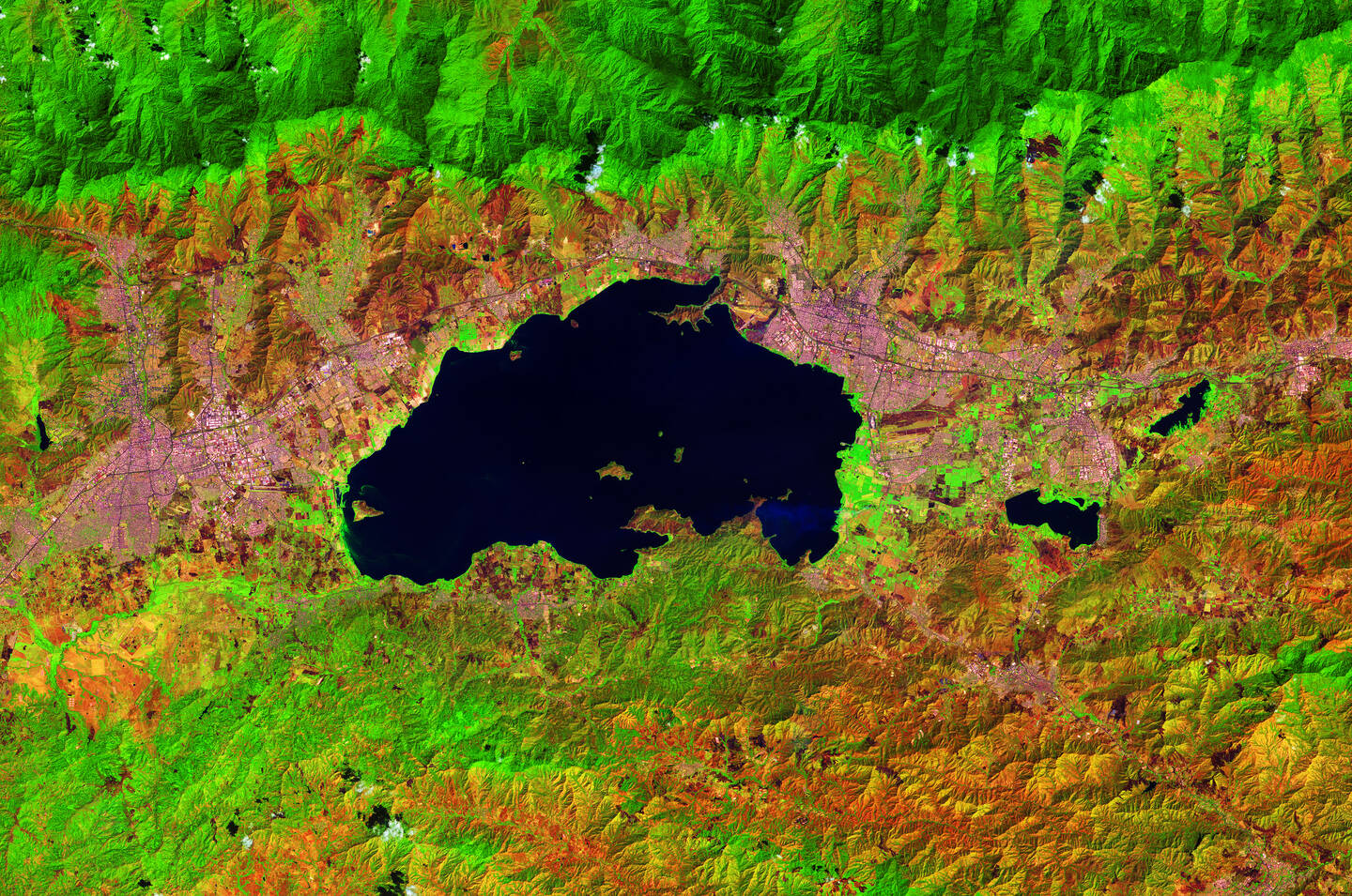 With+an+area+of+370+square+kilometers+%28142+square+miles%29%2C+Lake+Valencia%2C+in+northern+Venezuela%2C+formed+a+few+million+years+ago+and+is+now+a+reservoir+for+the+nearby+cities+of+Valencia+and+Maracay.+Unfortunately+the+inflow+of+untreated+wastewater+from+the+surrounding+industrial+and+agricultural+lands+has+led+the+lake+to+become+contaminated.+It+now+suffers+from+algal+blooms+and+between+1960+and+1990+lost+more+than+60+percent+of+its+native+fish+species.+The+poor-quality+waters+of+Lake+Valencia+prevent+the+development+of+tourism+and+recreational+activities+in+the+region.+In+this+false-color+image+Henri+Pittier+National+Park%2C+to+the+north%2C+appears+fluorescent+green.+February+2%2C+2019.