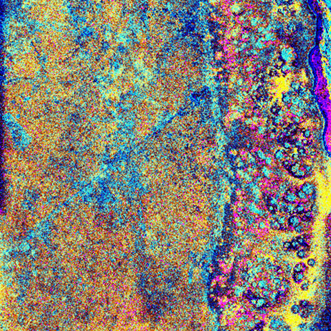 A+radar+image+of+the+southwest+portion+of+the+Chicxulub+impact+crater%2C+located+in+the+Yucatan+Peninsula.+Formed+approximately+65+million+years+ago+when+a+large+asteroid+or+comet+struck+the+Earth%2C+the+buried+crater+is+more+than+180+kilometers+%28110+miles%29+in+diameter.+The+impact+produced+the+second-largest+mass+extinction+in+Earth%E2%80%99s+history+and+was+an+important+factor+in+the+end+of+the+dinosaurs.+April+14%2C+1994.+