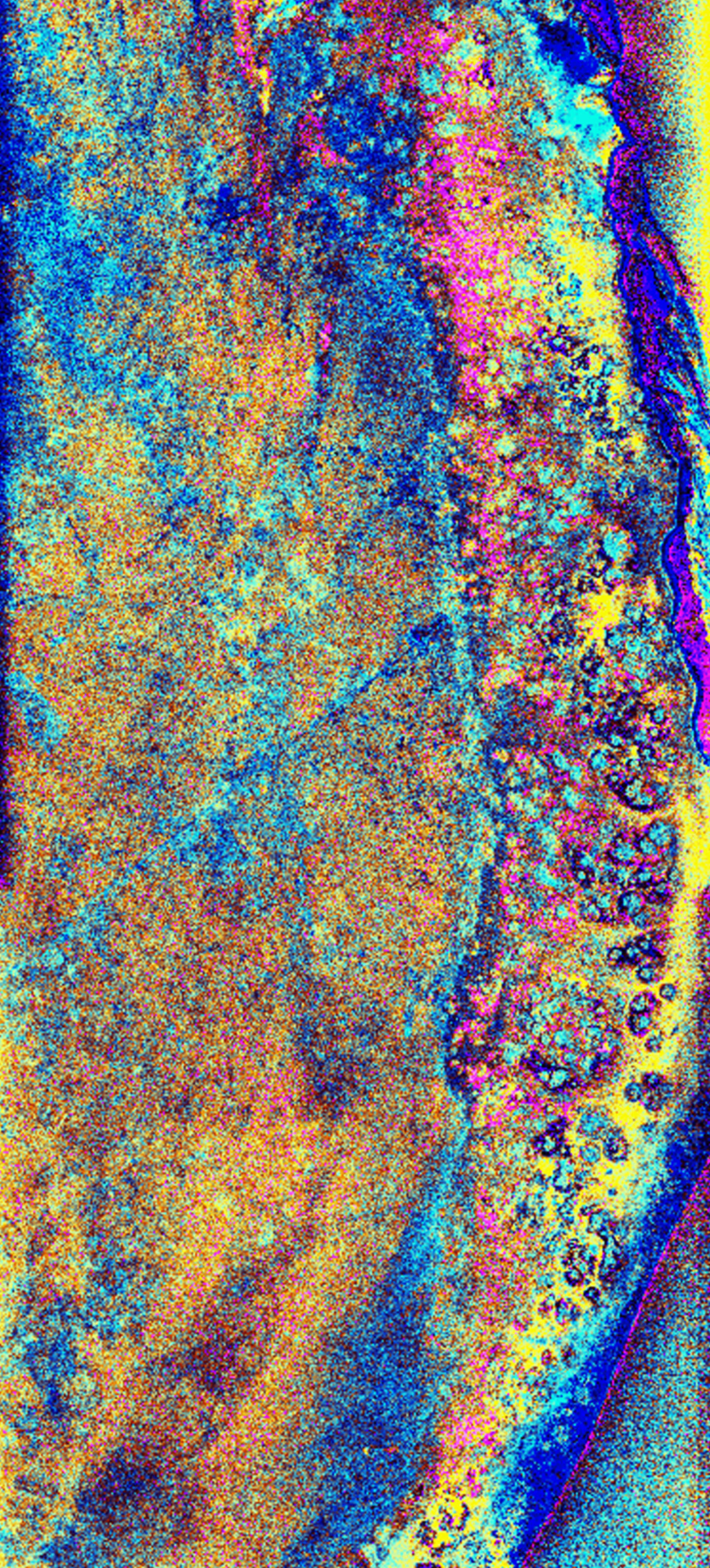 A+radar+image+of+the+southwest+portion+of+the+Chicxulub+impact+crater%2C+located+in+the+Yucatan+Peninsula.+Formed+approximately+65+million+years+ago+when+a+large+asteroid+or+comet+struck+the+Earth%2C+the+buried+crater+is+more+than+180+kilometers+%28110+miles%29+in+diameter.+The+impact+produced+the+second-largest+mass+extinction+in+Earth%E2%80%99s+history+and+was+an+important+factor+in+the+end+of+the+dinosaurs.+April+14%2C+1994.+