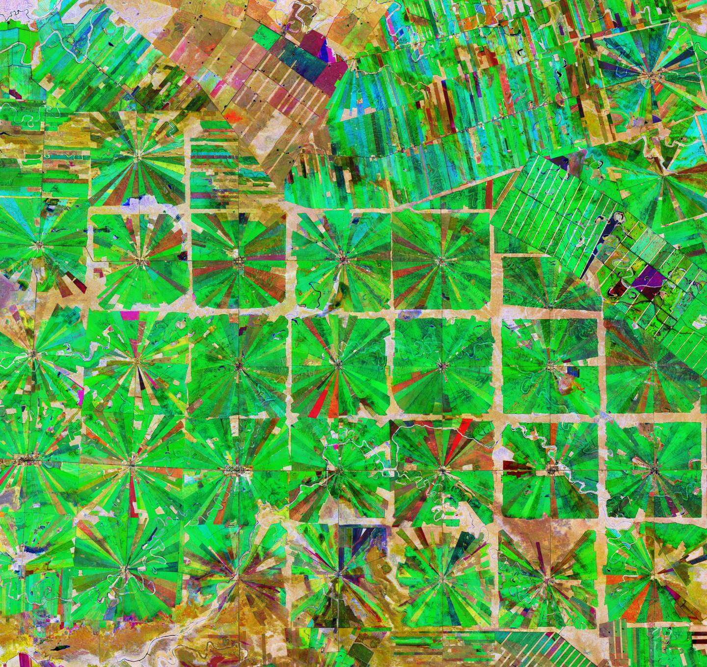 Since+the+1980s+this+tropical+dry+forest+area+of+Bolivia+has+been+rapidly+deforested+owing+to+agricultural+development.+The+relatively+flat+lowlands+and+abundant+rainfall+make+this+region+suitable+for+farming%2C+including+two+possible+growing+seasons.+The+region+has+been+transformed+from+dense+forest+into+a+patterned+expanse+of+agricultural+land.+This+deforestation+method%2C+common+in+this+part+of+Bolivia%2C+is+characterized+by+the+radial+patterns+that+can+be+seen+clearly+in+the+image.+Rain+forests+worldwide+are+being+destroyed+at+an+alarming+rate.+This+is+of+great+concern+as+they+play+an+important+role+in+global+climate+and+are+home+to+a+wide+variety+of+plants+and+animals.+April+8%E2%80%93June+22%2C+2019.+
