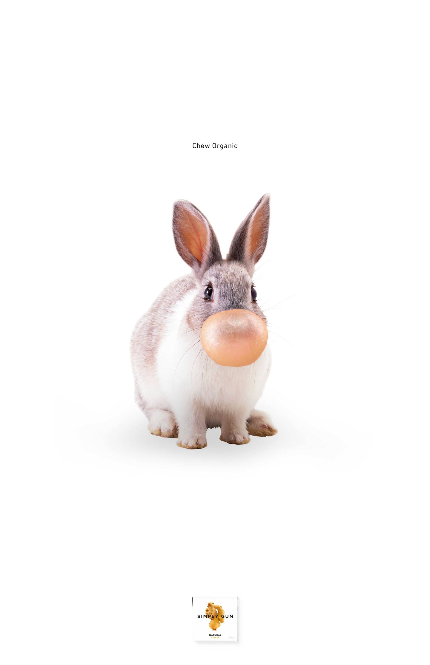 How+do+you+show+that+organic+gum+is+something+that+is+good+for+the+planet%3F++Fuzzy+woodland+creatures%21