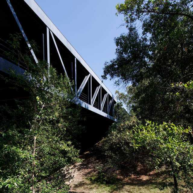 ArtCenter bridge as seen through the trees