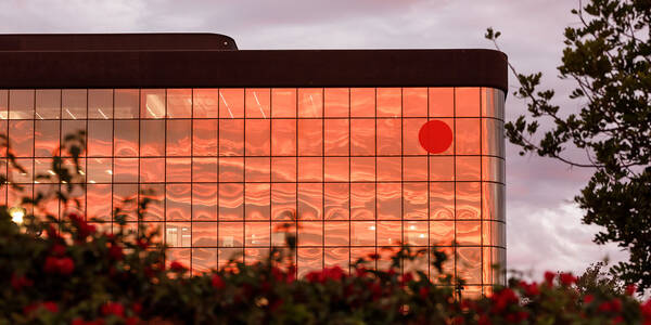 setting sun reflected in the facade of a mirrored building