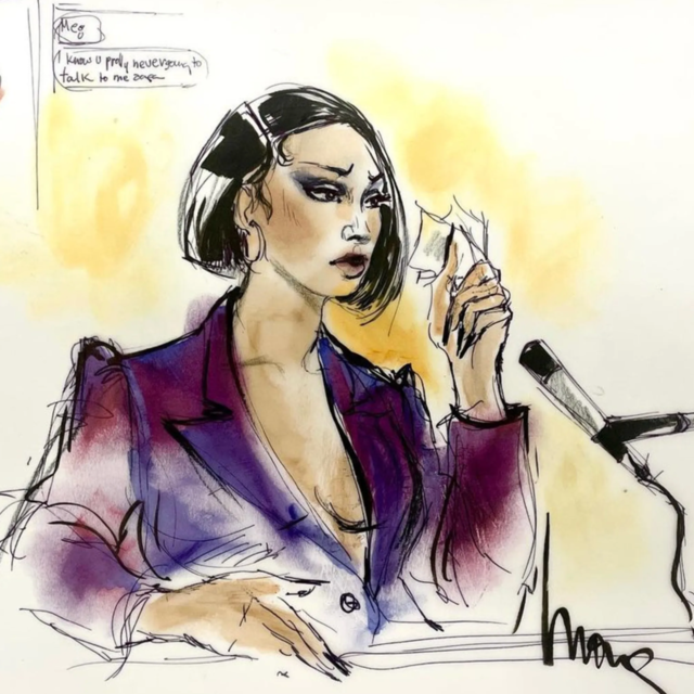 /Mona Shafer Edwards is a renowned courtroom illustrator who has covered some of the most high profile celebrity cases in history. 