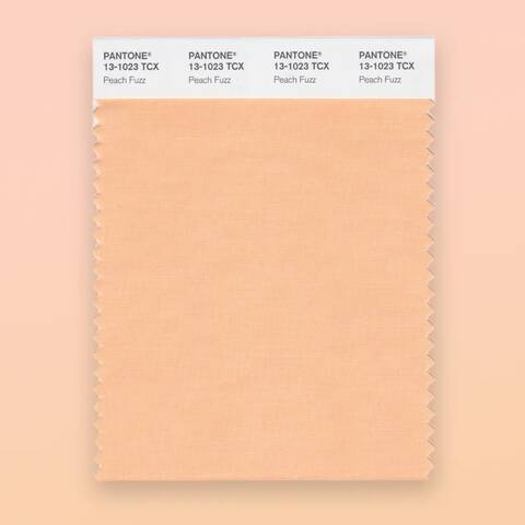 /image of pantone color card