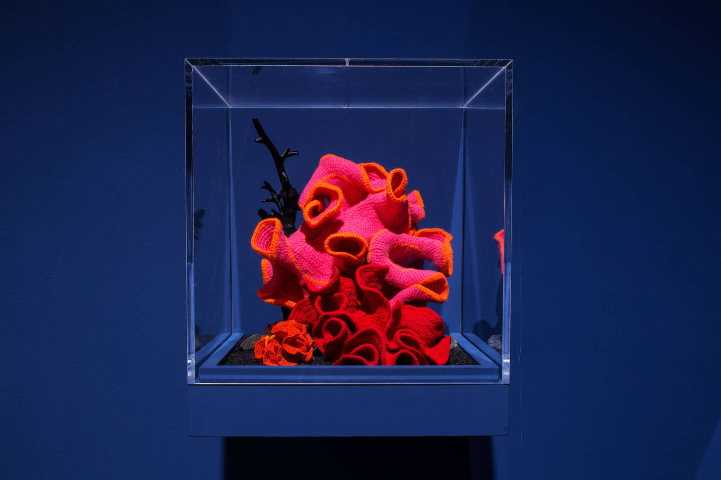 %3Cem%3EPod+Worlds%3C%2Fem%3E%2C+part+of+the+worldwide+Crochet+Coral+Reef+project+by+Margaret+Wertheim+and+Christine+Wertheim+and+the+Institute+For+Figuring.