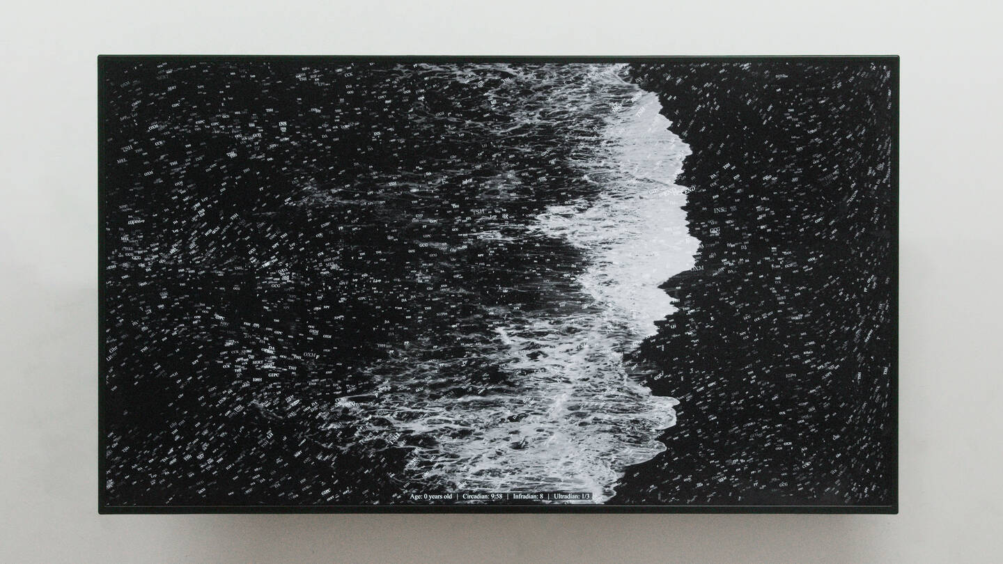 Rafael+Lozano-Hemmer+%28b.+Mexico%2C+1967%29%2C+%3Cem%3EHormonium%3C%2Fem%3E%2C+2022+Custom-generative+code%2C+computer%2C+4K+display.+Collection+of+Arkive.