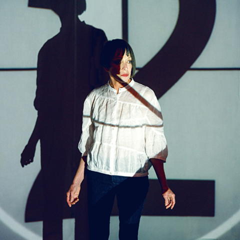 /Images of Diana Thater