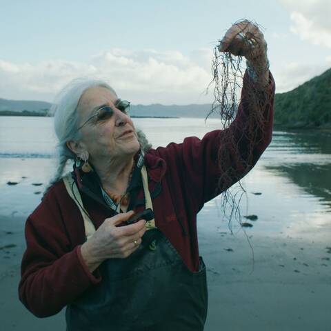 Still from Seaweed Stories