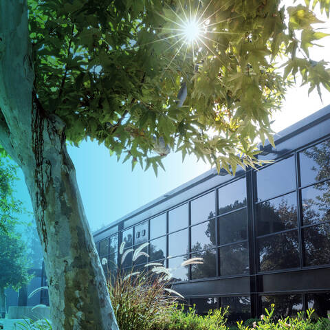 Impact Report Cover Image