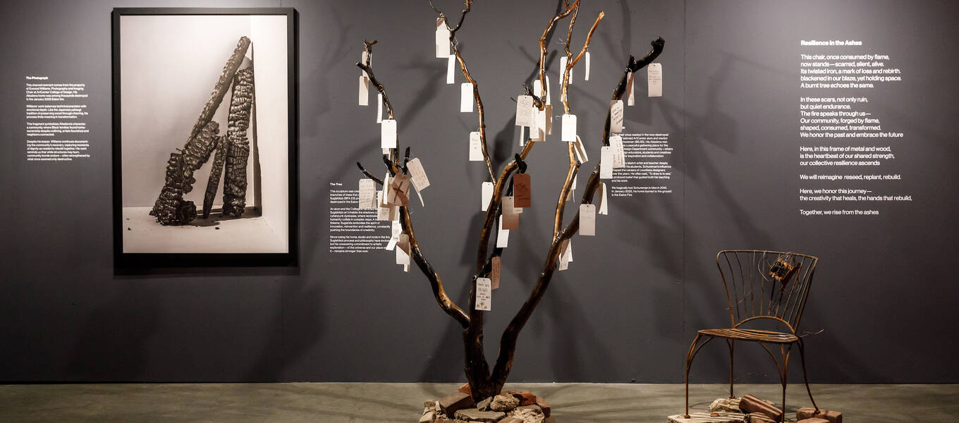 The immersive installation Resilience in the Ashes at ArtCenter