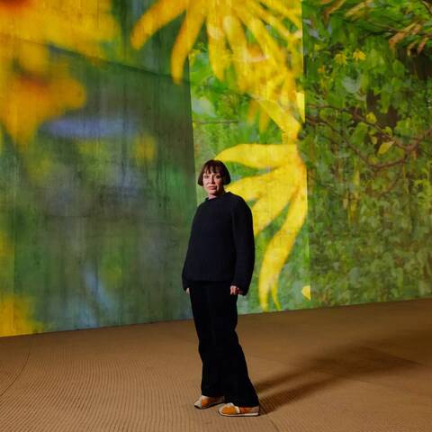 /Image of Diana Thater