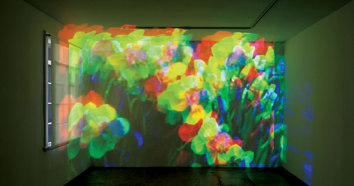 Diana Thater's Sympathetic Imagination - ArtCenter College of Design