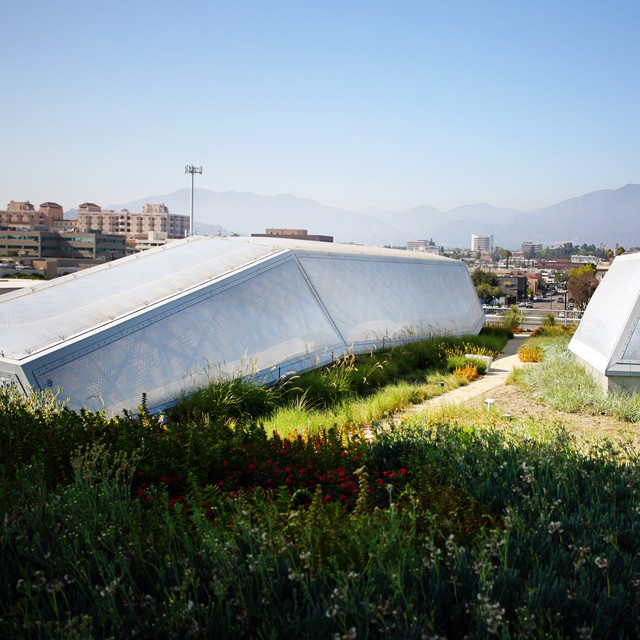 Judy Skalsky Memorial Rooftop Garden