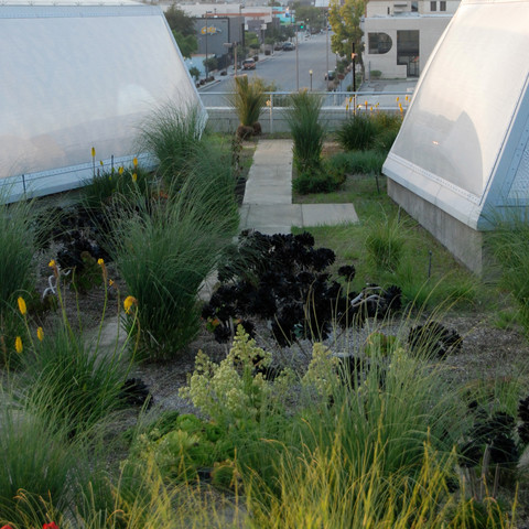 A path through the Judy Skalsky Memorial Rooftop Garden