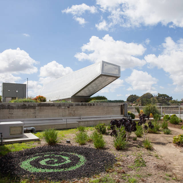 950 building rooftop garden