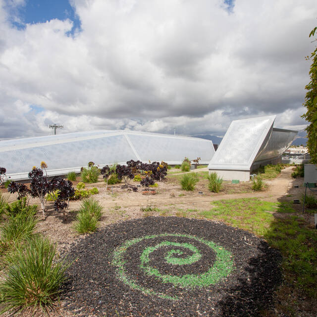 Rooftop garden at 950 building