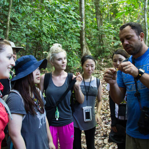 students in a forest with a guide