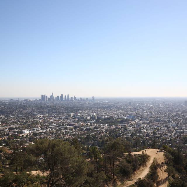 downtown LA as seen from the foothills