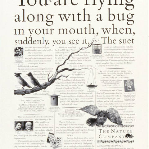 Tracy+Wong+is+chairman+and+co-founder+of+Wongdoody.+He+has+won+over+350+international+awards+from+such+institutions+as+the+Clios%2C+The+One+Show%2C+the+International+Advertising+Festival+at+Cannes%2C+the+Art+Directors+Club%2C+the+Museum+of+Modern+Art%2C+D%26AD%2C+%22Communication+Arts%2C%22+%22Graphis%2C%22+Effies%2C+Radio+Mercury+Awards+and+AIGA.+Other+honors+include+induction+into+the+Clio+Hall+of+Fame%2C+the+American+Advertising+Federation%E2%80%99s+silver+medal+for+lifetime+achievement+and+being+one+of+%22Graphic+Design+USA%E2%80%99s%22+top+25++%E2%80%9CMost+Influential+Art+Directors+of+the+Past+50+Years.%E2%80%9D+Prior+to+Wongdoody%2C+he+worked+at+Ogilvy%2C+Goldsmith%2FJeffrey%2C+and+Goodby%2C+Silverstein+%26+Partners.+He+has+served+on+the+boards+of+The+One+Club+and+the+University+of+Oregon+School+of+Journalism+and+Communication+and+been+a+featured+speaker+at+creative+conferences+and+ad+clubs+globally.+Wong+may+be+most+recognized+for+his+appearance+on+AMC%E2%80%99s+%22The+Pitch%2C%22+a+docuseries+about+the+real+%E2%80%9CMad+Men.%E2%80%9D