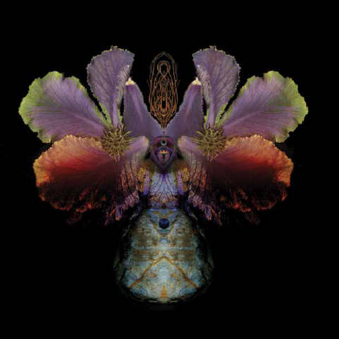 John+Coy+established+Coy%2C+Los+Angeles%2C+in+1980+with+his+wife%2C+Margaret%2C+focusing+on+corporate+identity+and+publication+design+for+clients+in+the+performing+and+fine+arts.+An+early+connection+with+fine+art+publisher+Gemini+G.E.L.+led+to+Coy%E2%80%99s+45-year+relationship+managing+the+company%E2%80%99s+exhibition%2C+advertising+and+publication+design.+Other+major+clients+include+the+J.+Paul+Getty+Museum%2C+Los+Angeles+County+Museum+of+Art%2C+Segerstrom+Center+for+the+Arts%2C+Los+Angeles+Opera%2C+Laguna+College+of+Art+and+Design%2C+and+Chester+College+of+New+England.+Many+of+Coy%27s+designs+are+in+museum+collections%2C+including+that+of+New+York%E2%80%99s+Cooper+Hewitt%2C+Smithsonian+Design+Museum.+The+first+president+of+the+Los+Angeles+chapter+of+AIGA%2C+Coy+has+taught+design+at+Otis+College+of+Art+and+Design%2C+ArtCenter%2C+California+Institute+of+the+Arts%2C+Laguna+College+of+Art+and+Design+and+the+University+of+California%2C+Los+Angeles.+In+2011%2C+Coy+became+an+AIGA+Fellow.